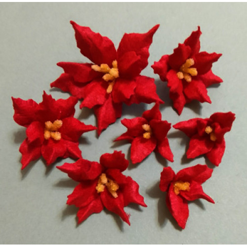 Цветы пуансеттии мелкие 7 шт. бордовые 334