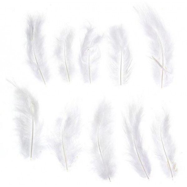 Набор перьев для декора 10 шт,  цвет белый 1250945