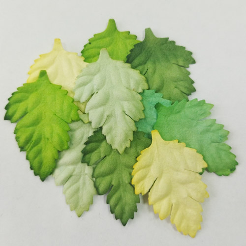 Листья шиповника без стебельков - Зеленый микс 10шт