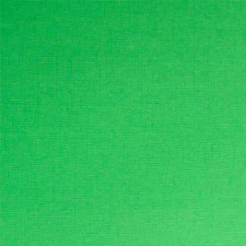Кардсток текстурированный 30,5*30,5 см. 216 гр/м, Зеленый SCB201213