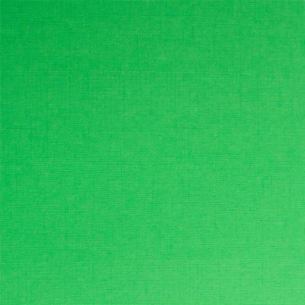 Кардсток текстурированный 30,5*30,5 см. 216 гр/м, Зеленый SCB201213