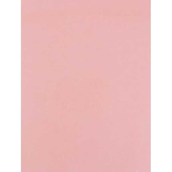 Картон перламутр  "Жемчужный нежно-розовый" А4 250гр  2277678