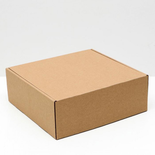 Коробка самосборная, крафт, 26х 25 х9,5 см  6914785
