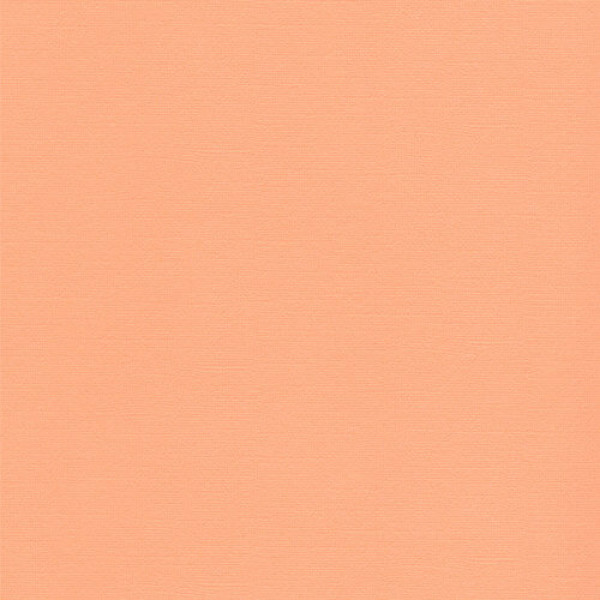 Кардсток текстурированный, цвет - оранжевый, 30,5х30,5 см, SCB172312102 