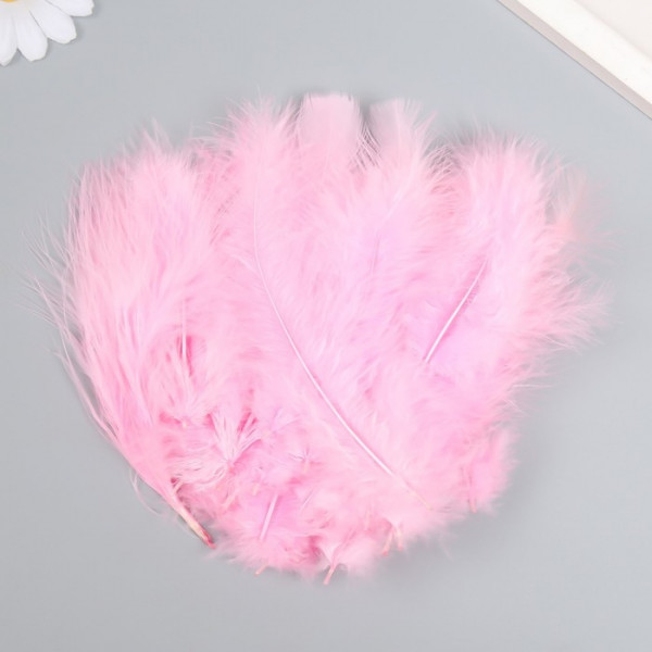 Набор перьев для творчества 30 шт (14-17 см), нежно-розовый 9519096 