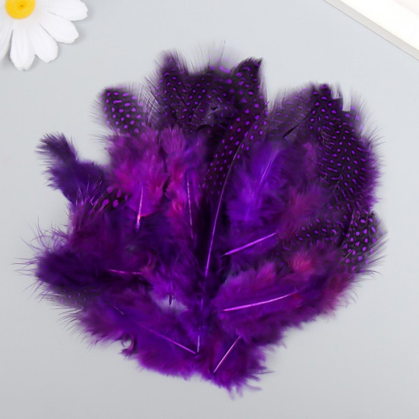 Набор перьев для творчества 20 шт (6-8 см), фиолетовый 9519103 