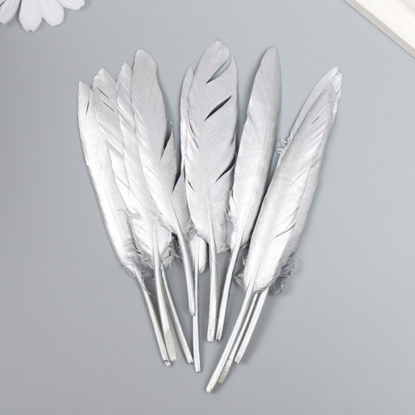 Набор перьев для творчества 10 шт (13-15 см), серебро 9519104 