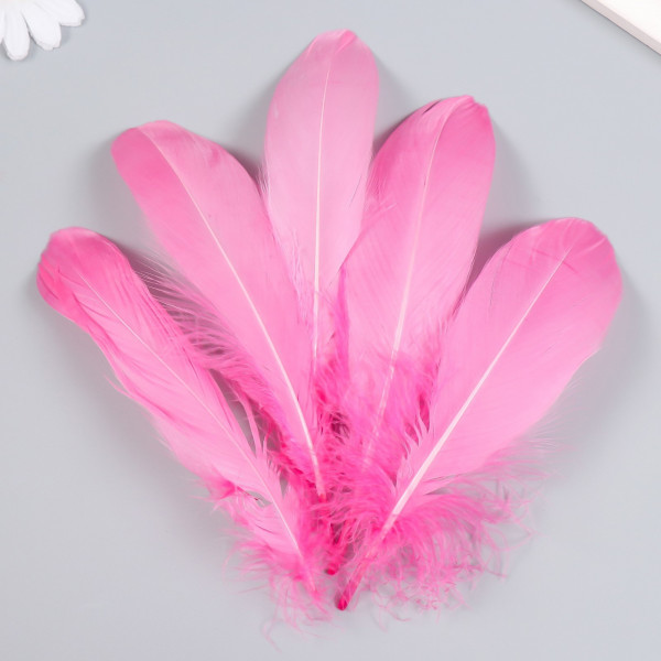 Набор декоративных перьев 160-190 мм (5 шт), розовый Артикул: 9528076