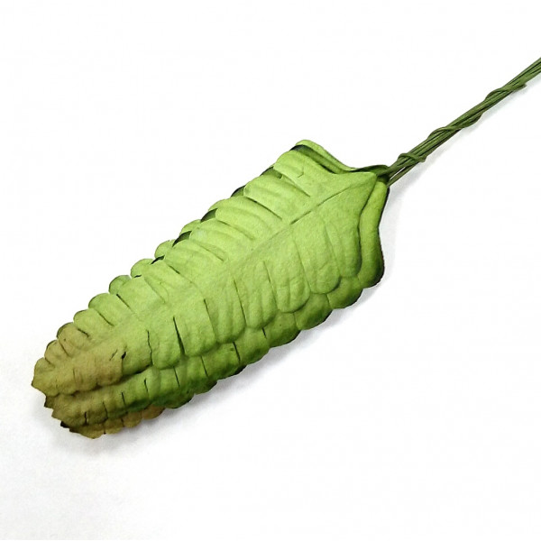 Набор бум листьев папоротника зеленый с темн кончикам 10шт 14-1