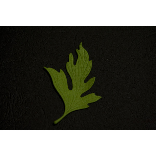 Вырубка  листик мака 6,3 см ярко-зеленый кардсток 3638