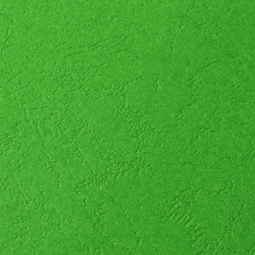 Дизайнерский картон "под кожу" зеленый, А4