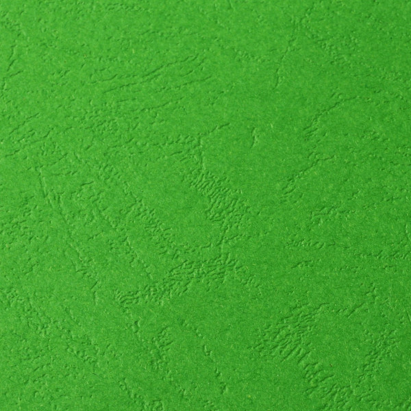 Дизайнерский картон "под кожу" зеленый, А4