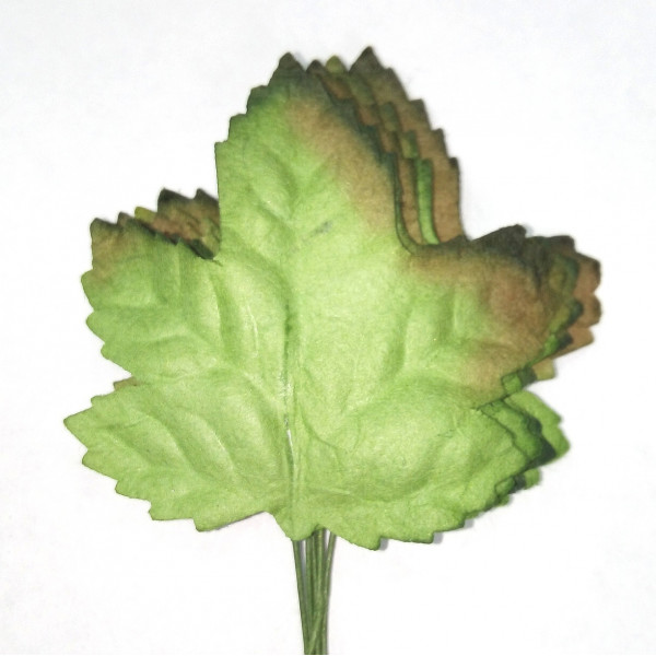 Листья клена зеленые 5шт. 50мм арт LO-725
