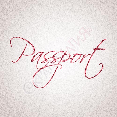 Штамп для скрапбукинга "Passport" (НП-143) 38х20 мм.
