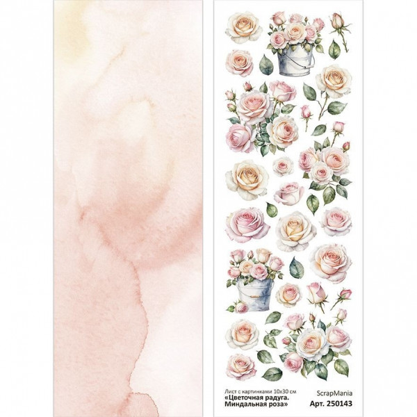 Лист с картинками 10х30 см "Цветочная радуга. Миндальная роза" (ScrapMania) 250143