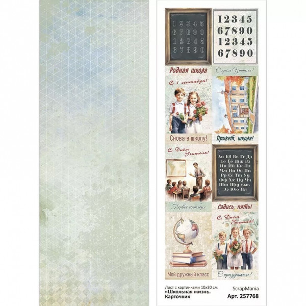 Лист с картинками 10х30 см "Школьная жизнь. Карточки" (ScrapMania) Артикул257768