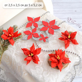 Нож "Пуансеттия с прожилками", 5х5,2 см (ScrapMania) Артикул227343 Нож "Пуансеттия с прожилками", 5х5,2 см (ScrapMania) Артикул227343